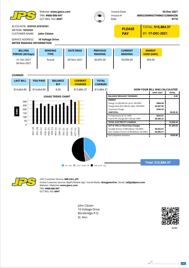 Professionelle Jamaika Öffentlich Service Unternehmen GmbH (JPS) Strom Nebenkostenabrechnung Vorlage in Word und PDF Format