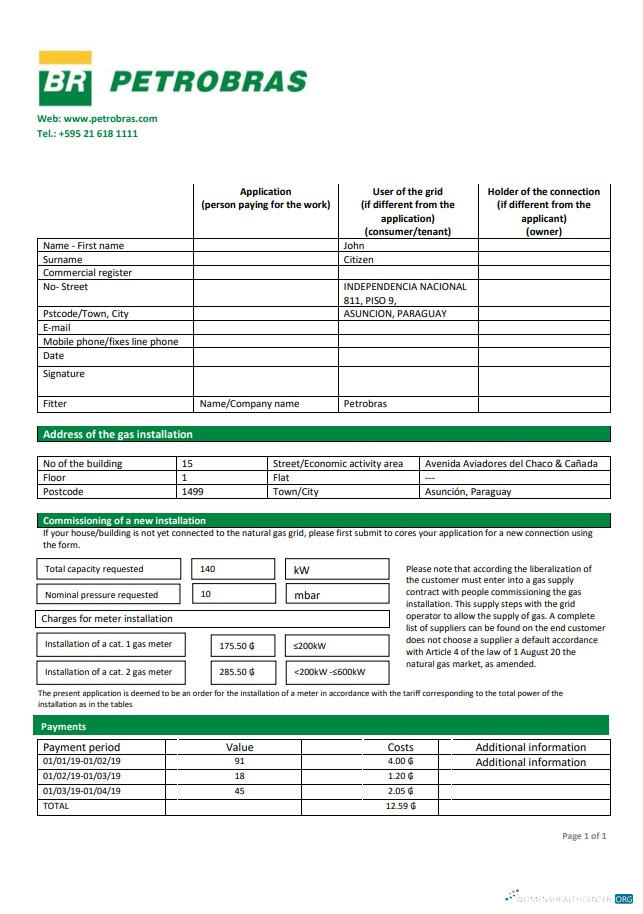 Editierbare Paraguay Petrobras Paraguay Operations und Logistics Gas Unternehmen Nebenkostenabrechnung Vorlage in Word und PDF Format