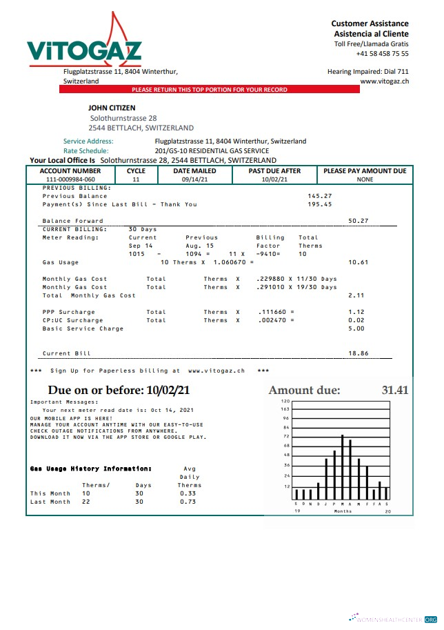 Realistische Schweiz Vitogaz Schweiz AG Nebenkostenabrechnung Vorlage, Fully Editable in Word und PDF Format