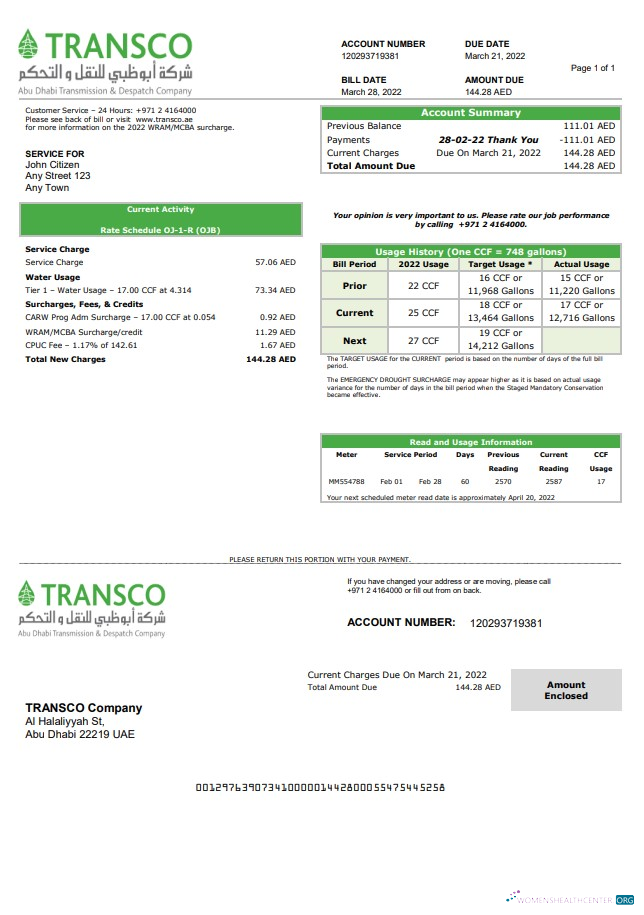 Professionelle UAE Abu Dhabi Übertragung & Versand Unternehmen (TRANSCO) Nebenkostenabrechnung Vorlage in Word und PDF Format