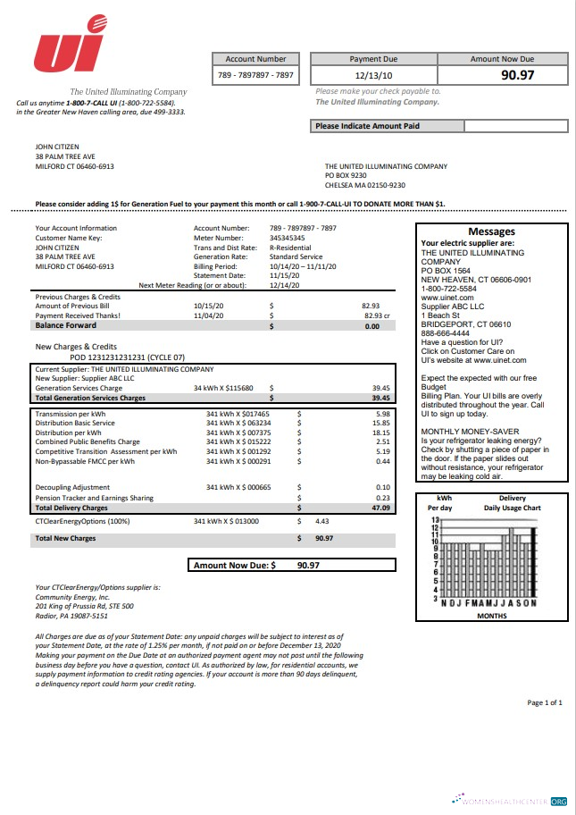 Editierbare USA Connecticut The Vereint Illuminating Unternehmen Strom Nebenkostenabrechnung Vorlage in Word und PDF Format