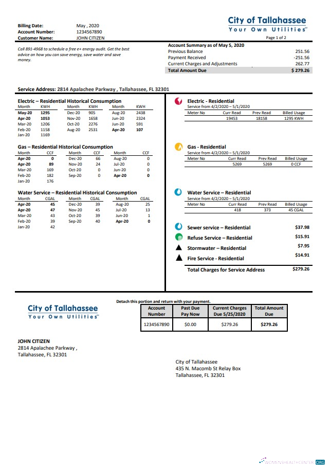 Hochwertige USA Florida Stadt von Tallahassee Florida Your Own Utilities Bill Vorlage in Word und PDF Format