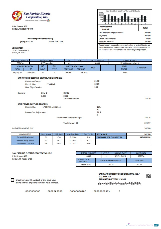 Hochwertige USA Texas San Patricio Electric Corporative Nebenkostenabrechnung Vorlage in Word und PDF (.doc und .PDF) Format