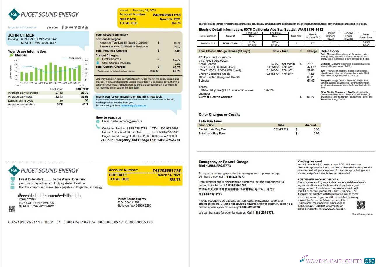 Premium USA Washington Puget Sound Energy Nebenkostenabrechnung Vorlage in Word und PDF Format, 2 Seiten, Version 2
