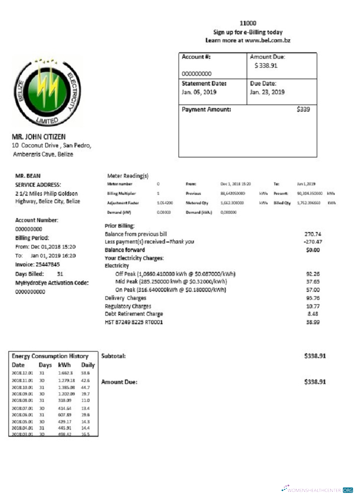 Professionelle Herunterladen Belize Strom GmbH Strom Nebenkostenabrechnung Vorlage in Word und PDF Format PDF Vorlage