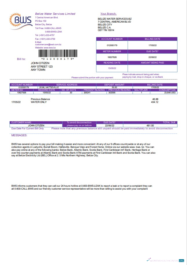 Premium Herunterladen Belize Wasser Services GmbH Nebenkostenabrechnung Vorlage in Word und PDF Format PDF Vorlage