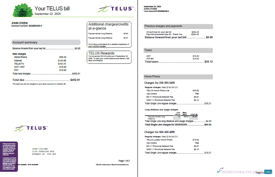 Premium Herunterladen Kanada Telus Nebenkostenabrechnung Vorlage in Word und PDF Formats, 2 Seiten, Version 3 PDF Vorlage