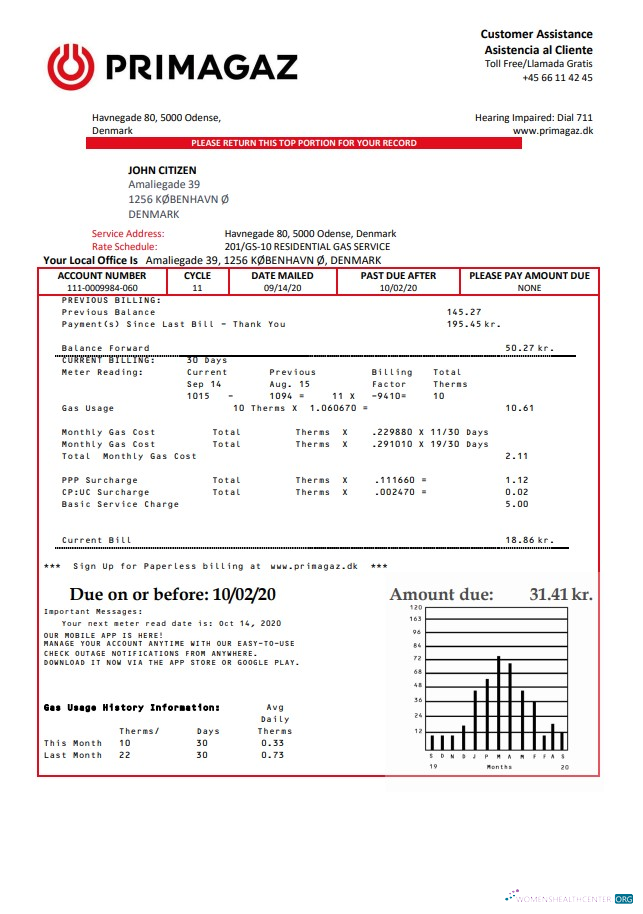 Professionelle Herunterladen Dänemark Primagaz Dänemark Gas Nebenkostenabrechnung Vorlage in Word und PDF Format PDF Vorlage
