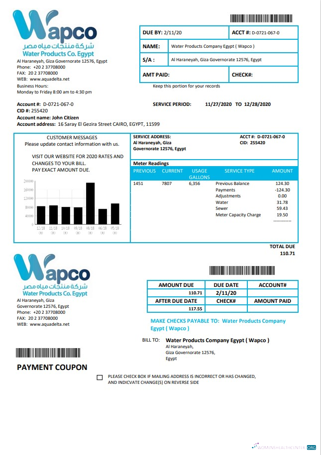 Editierbare Herunterladen Ägypten Wasser Products Unternehmen Ägypten (Wapco) Nebenkostenabrechnung Vorlage in Word und PDF Format PDF Vorlage