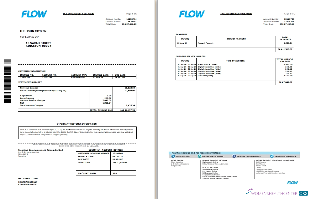 Hochwertige Herunterladen Jamaika Flow Tax Invoice Cable und Internet Bill Word und PDF Vorlage, 2 Seiten SCR PDF Vorlage