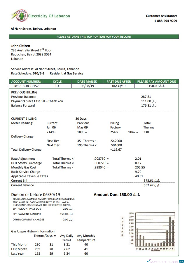 Professionelle Herunterladen Libanon Strom von Libanon Nebenkostenabrechnung Vorlage in Word und PDF Format PDF Vorlage