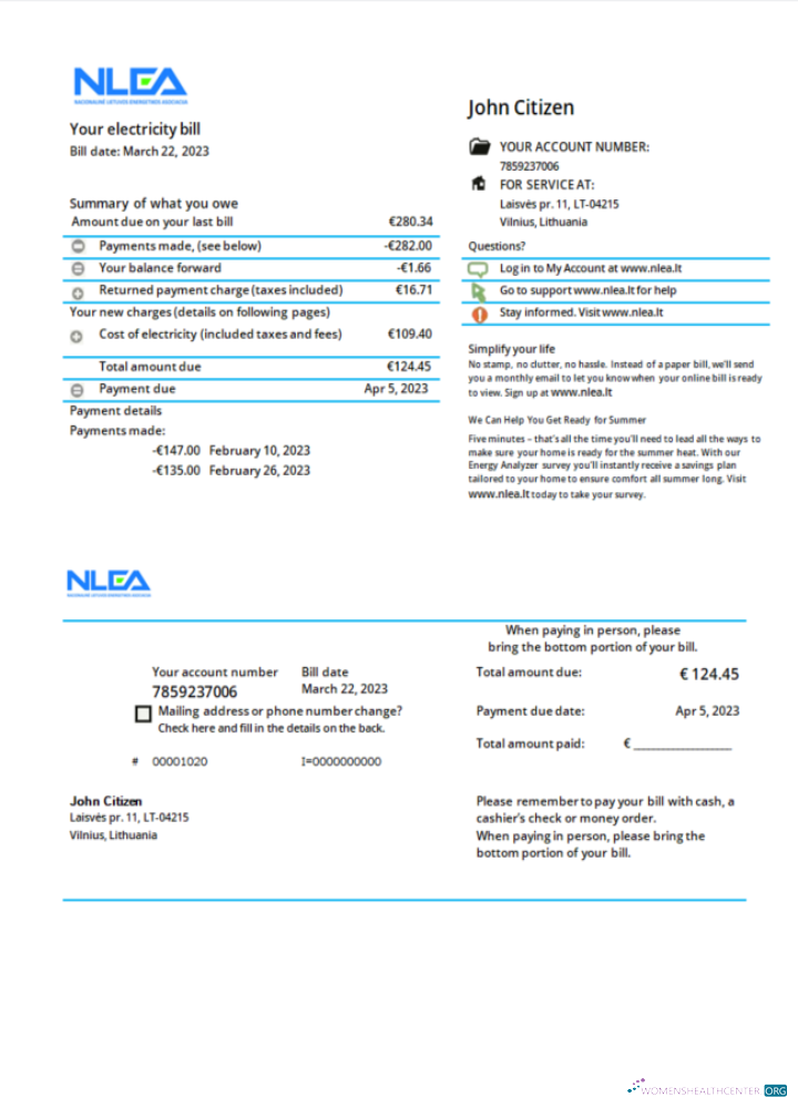 Professionelle Herunterladen Litauen National Lithuanian Energy Association Nebenkostenabrechnung Word und PDF Vorlage PDF Vorlage