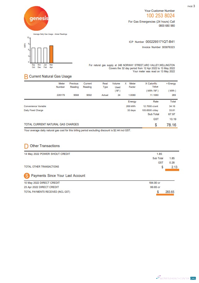 Hochwertige Herunterladen Neuseeland Genesis Gas Nebenkostenabrechnung Vorlage in Word und PDF Format, 3 Seiten 2 PDF Vorlage