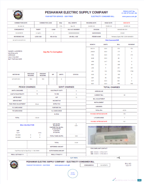 Premium Herunterladen Pakistan PESHAWAR ELECTRIC Versorgung Unternehmen Nebenkostenabrechnung Word und PDF Vorlage PDF Vorlage