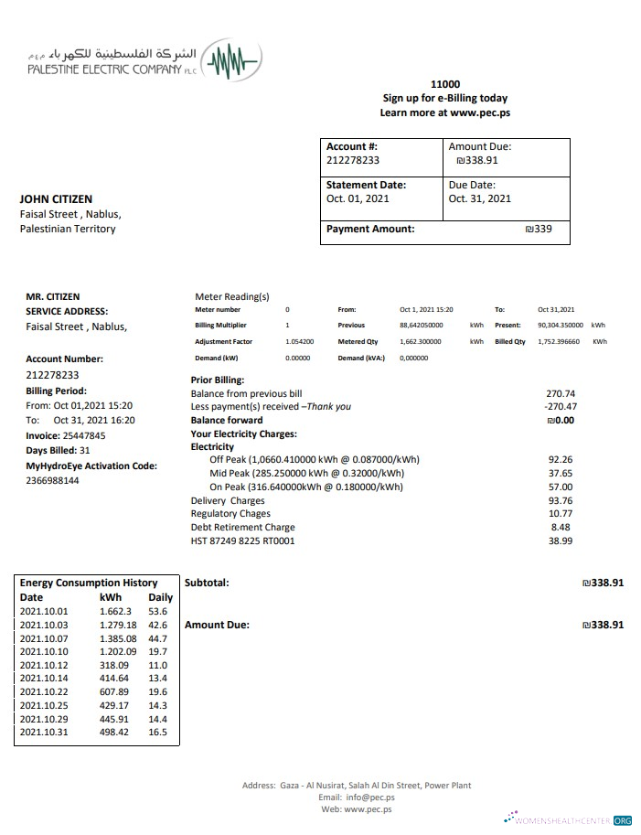 Editierbare Herunterladen Palestine Electric Unternehmen (PEC) Nebenkostenabrechnung Vorlage in Word und PDF Format PDF Vorlage