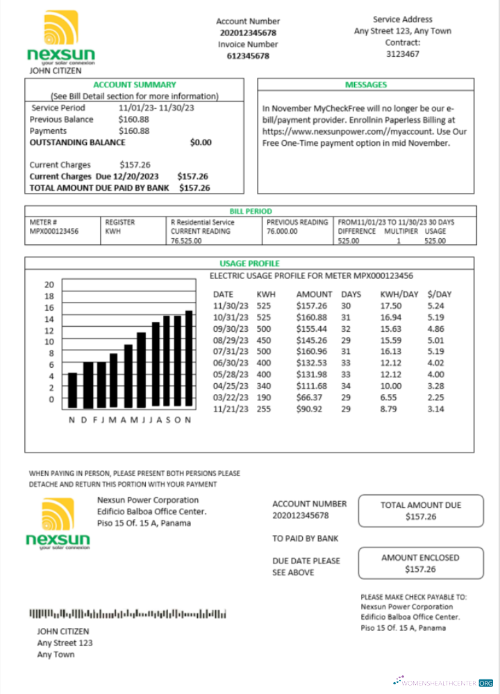 Premium Herunterladen Panama Nexsun Power Konzern Strom Nebenkostenabrechnung Word und PDF Vorlage PDF Vorlage