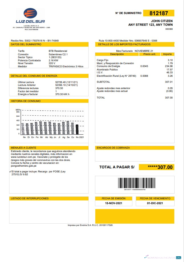 Realistische Herunterladen Peru Luz de Sur Nebenkostenabrechnung Vorlage in Word und PDF Format, Fully Editable PDF Vorlage
