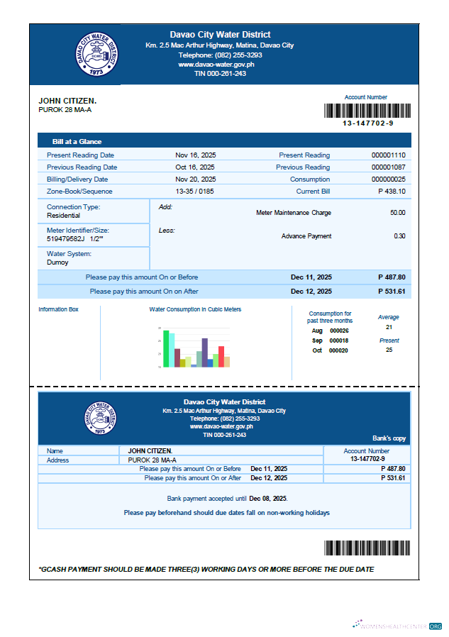 Premium Herunterladen Philippinen Davao Stadt Wasser Bezirk Nebenkostenabrechnung Vorlage in Word und PDF Formats PDF Vorlage