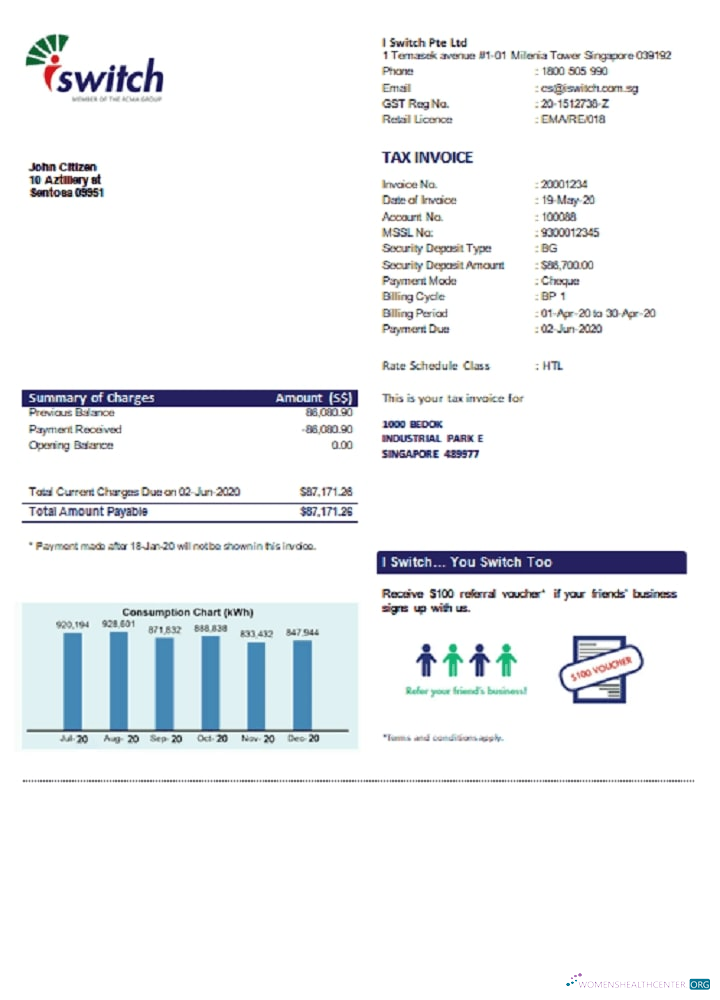 Premium Herunterladen Singapur I Switch Strom Nebenkostenabrechnung Vorlage in Word und PDF Format PDF Vorlage