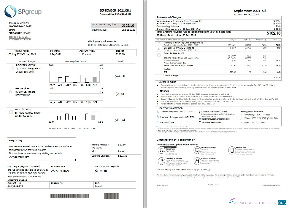 Realistische Herunterladen Singapur SP Group Nebenkostenabrechnung Vorlage in Word und PDF Format (2 Seiten) PDF Vorlage