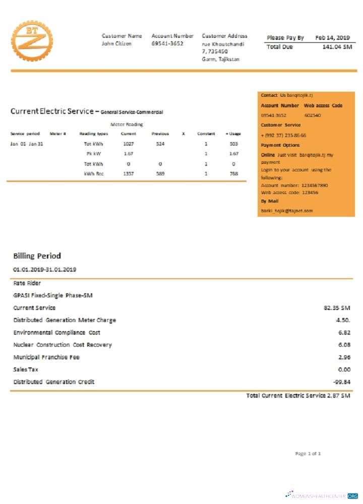 Realistische Herunterladen Tadschikistan Barqi Tojik Unternehmen Strom Nebenkostenabrechnung Vorlage in Word und PDF Format PDF Vorlage