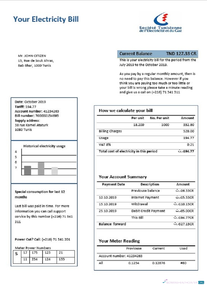 Editierbare Herunterladen Tunesien Strom Nachweis von Adresse Nebenkostenabrechnung Vorlage in Word und PDF Format PDF Vorlage