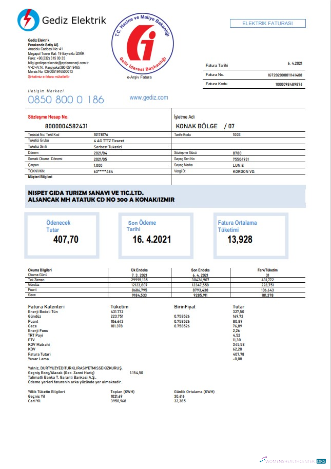 Realistische Herunterladen Türkei Gediz Elektrik Nebenkostenabrechnung Vorlage in Word und PDF Format, Fully Editable PDF Vorlage
