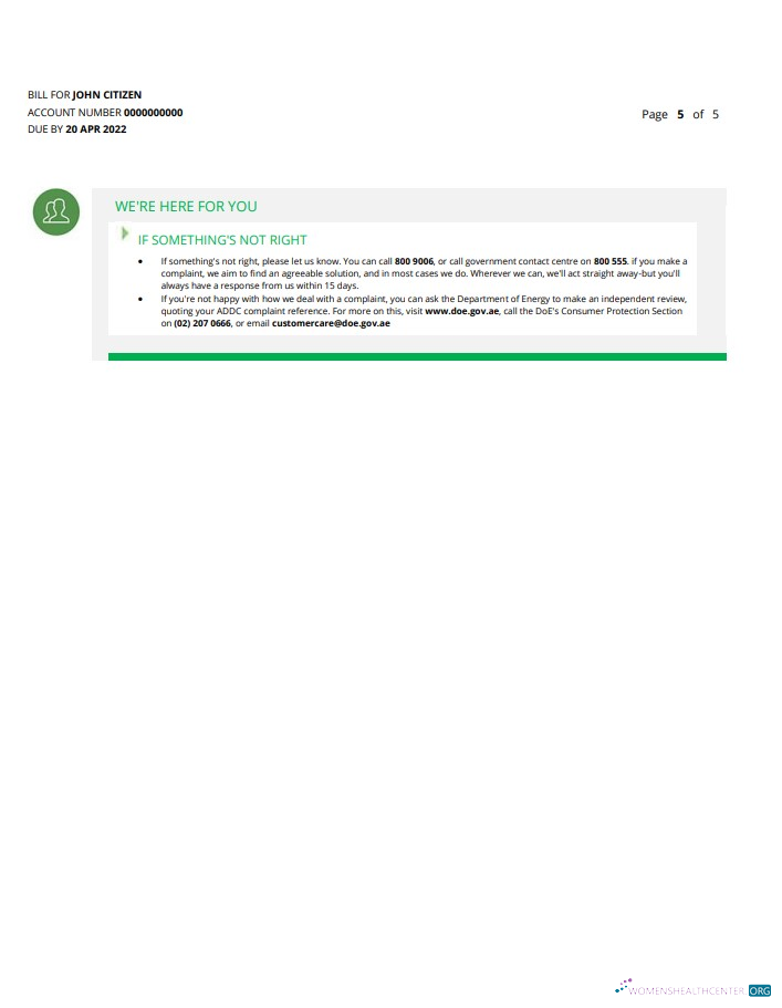 Editierbare Herunterladen UAE Ajman Al Ain Verteilung Co. Word und PDF Nebenkostenabrechnung Vorlage (5 Seiten) 5 PDF Vorlage