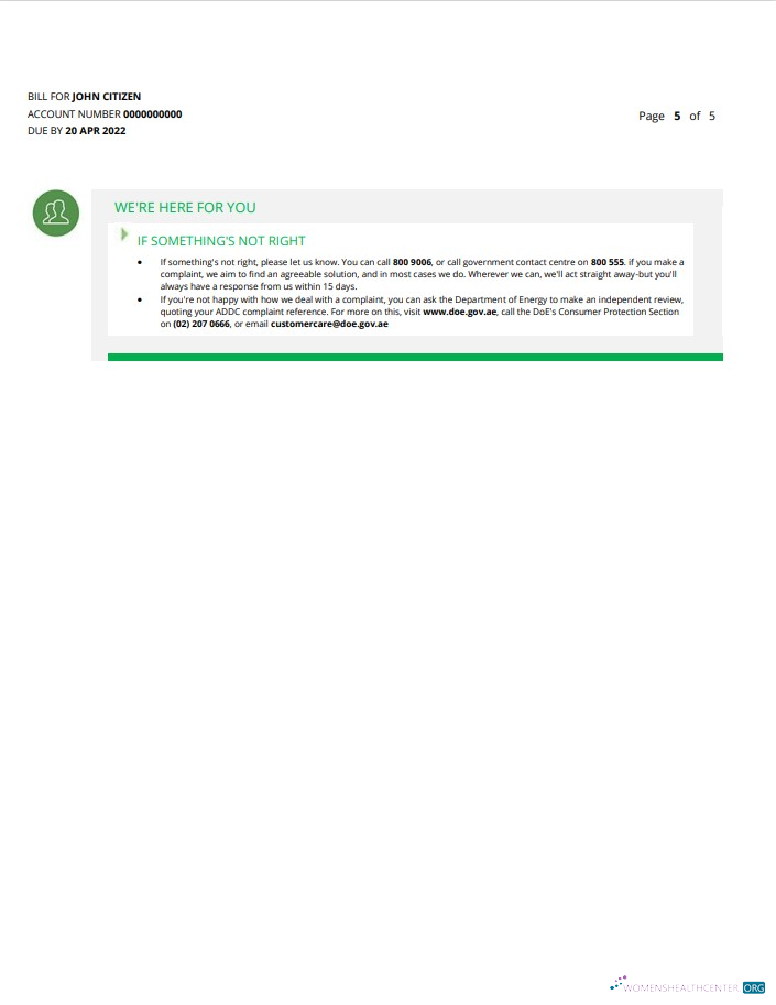 Realistische Herunterladen UAE Dubai Al Ain Verteilung Co. Word und PDF Nebenkostenabrechnung Vorlage (5 Seiten) 5 PDF Vorlage