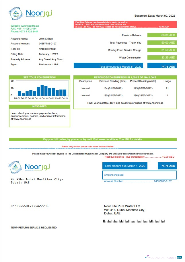 Realistische Herunterladen UAE Noor Life Pure Wasser LLC Nebenkostenabrechnung Vorlage in Word und PDF Format PDF Vorlage