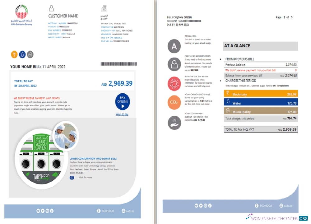 Premium Herunterladen UAE Sharjah Al Ain Verteilung Co. Word und PDF Nebenkostenabrechnung Vorlage (5 Seiten) 1 2 PDF Vorlage