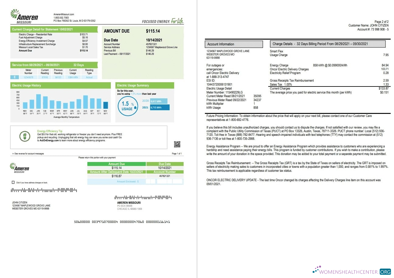 Premium Herunterladen USA Ameren Missouri Strom Nebenkostenabrechnung Vorlage in Word und PDF Format (2 Seiten) PDF Vorlage