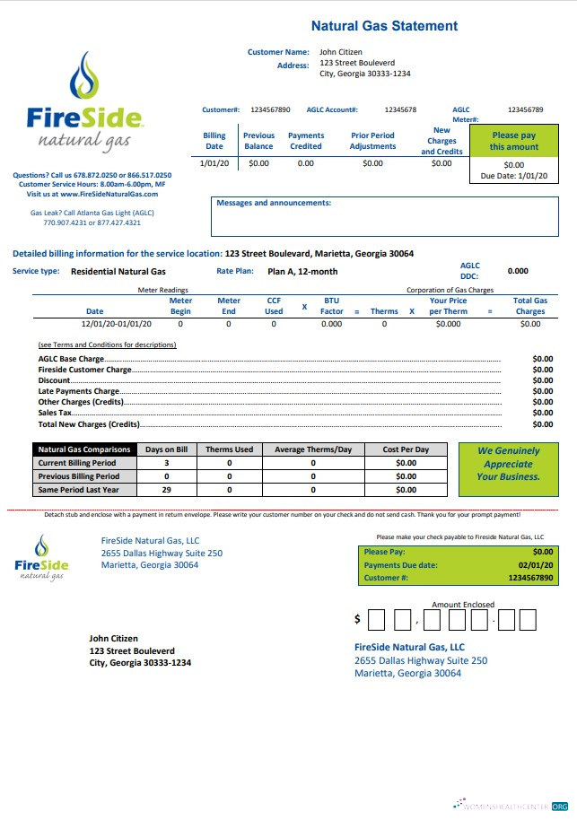 Professionelle Herunterladen USA California FireSide Natural Gas Nebenkostenabrechnung Vorlage in Word und PDF Format PDF Vorlage