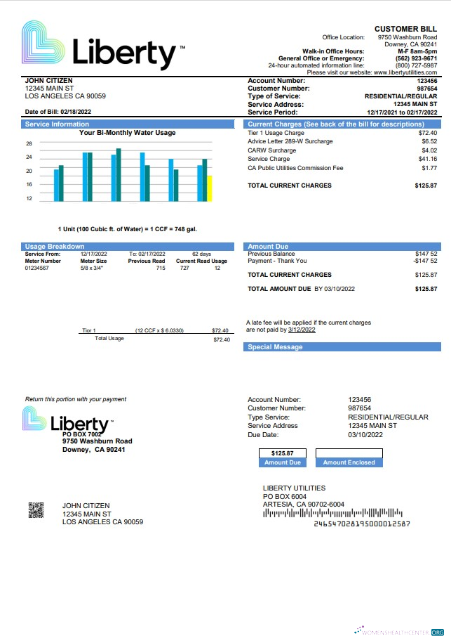 Editierbare Herunterladen USA California Liberty Utilities Nebenkostenabrechnung Vorlage in Word und PDF Format PDF Vorlage