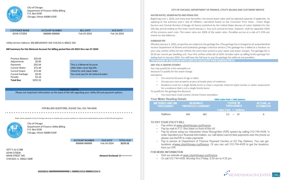 Editierbare Herunterladen USA Stadt von Chicago Abteilung von Finance Nebenkostenabrechnung Kontoauszug in Word und PDF Formats PDF Vorlage