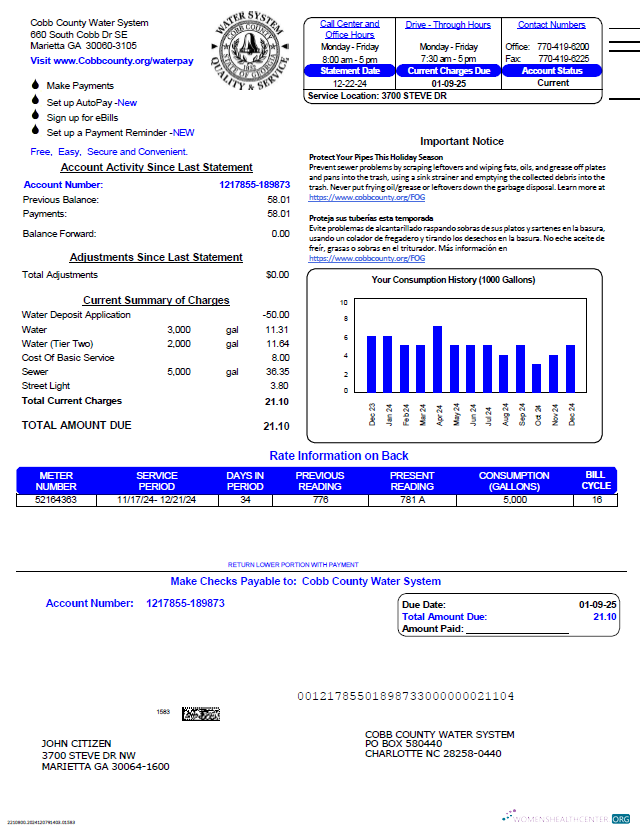 Hochwertige Herunterladen USA Cobb County Wasser System Nebenkostenabrechnung Vorlage in Word und PDF Formats, Version 3 PDF Vorlage