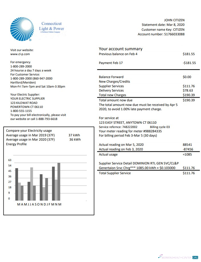 Editierbare Herunterladen USA Connecticut Light & Power Strom Nebenkostenabrechnung in Word und PDF Format PDF Vorlage
