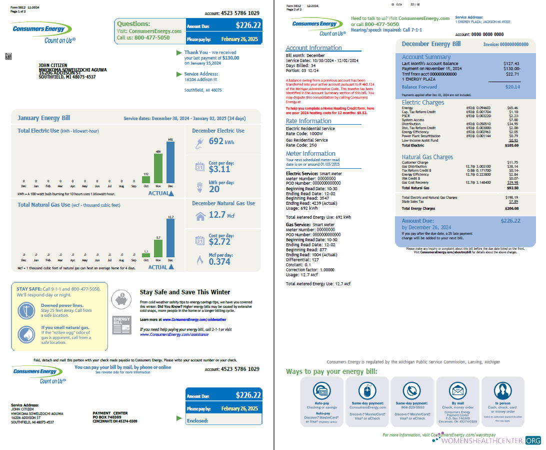 Hochwertige Herunterladen USA Consumers Energy Nebenkostenabrechnung Vorlage in Word und PDF Formats, 2 Seiten PDF Vorlage