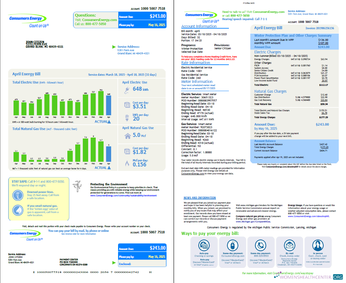 Hochwertige Herunterladen USA Consumers Energy Nebenkostenabrechnung Vorlage in Word und PDF Formats, 2 Seiten, Vesion 2 PDF Vorlage