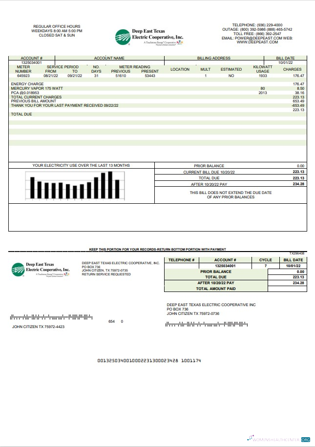 Professionelle Herunterladen USA Deep Ost Texas Electric Nebenkostenabrechnung Vorlage in Word und PDF Format PDF Vorlage