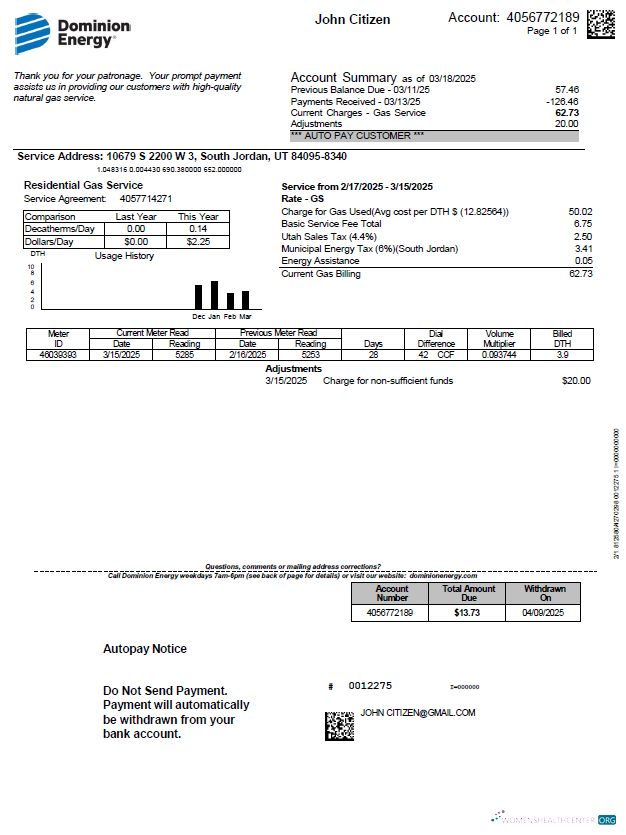 Premium Herunterladen USA Dominion Energy Nebenkostenabrechnung Vorlage in Word und PDF Formats, Version 3 PDF Vorlage