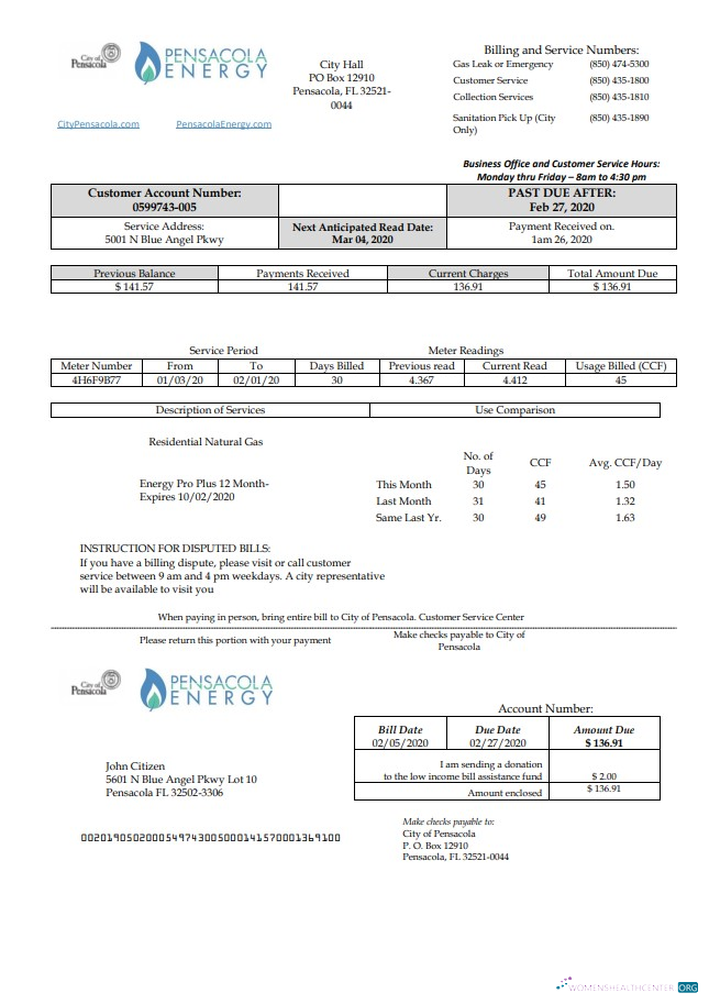 Realistische Herunterladen USA Florida Pensacola Energy Nebenkostenabrechnung Vorlage in Word und PDF Format PDF Vorlage