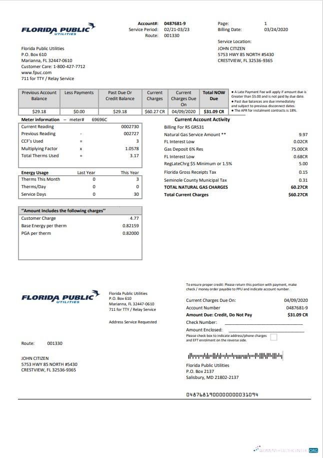 Professionelle Herunterladen USA Florida Öffentlich Utilities Nebenkostenabrechnung Vorlage in Word und PDF Format PDF Vorlage
