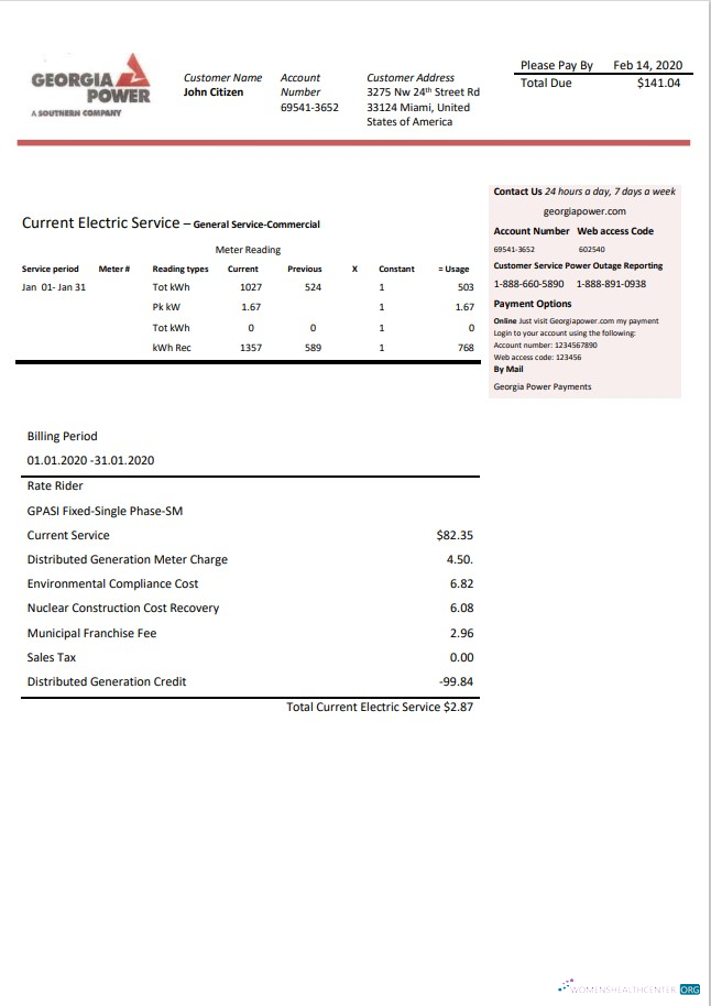 Editierbare Herunterladen USA Georgien Power Nebenkostenabrechnung Vorlage in Word und PDF Format, Fully Editable PDF Vorlage