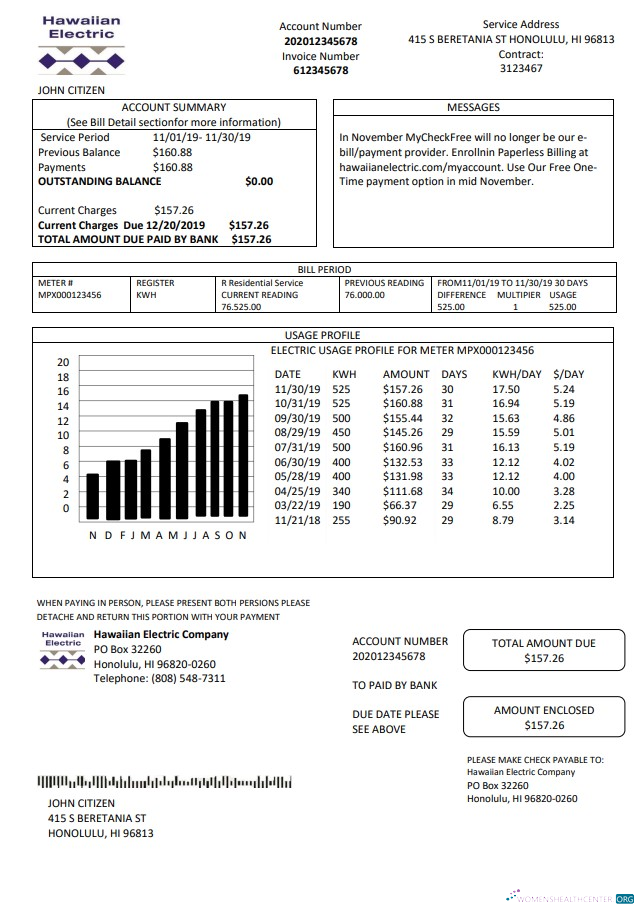 Realistische Herunterladen USA Hawaiian Electric Nebenkostenabrechnung Vorlage in Word und PDF Format (.doc und .PDF) PDF Vorlage