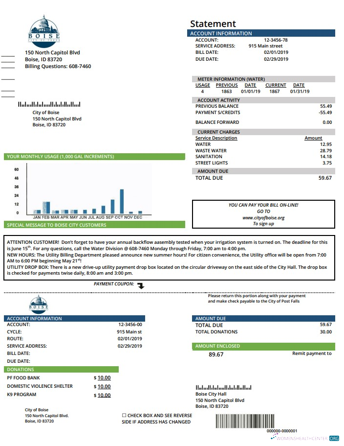 Premium Herunterladen USA Idaho Boise Stadt von Trees Wasser Nebenkostenabrechnung Vorlage in Word und PDF Format PDF Vorlage