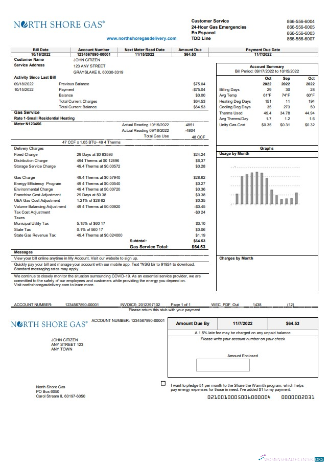 Hochwertige Herunterladen USA Illinois Nord Shore Gas Nebenkostenabrechnung Vorlage in Word und PDF Format PDF Vorlage