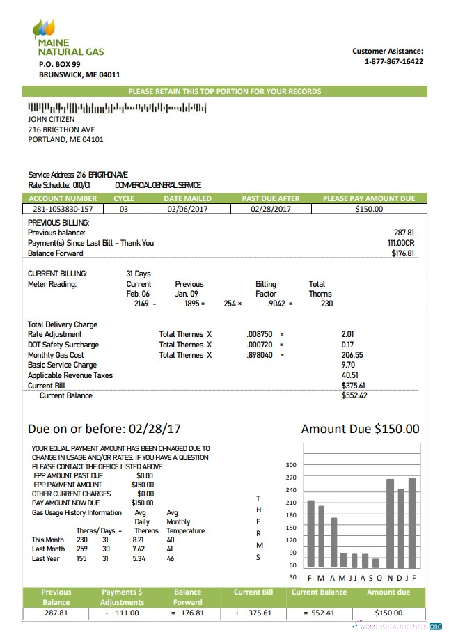 Hochwertige Herunterladen USA Maine Natural Gas Portland Nebenkostenabrechnung Vorlage in Word und PDF Format PDF Vorlage