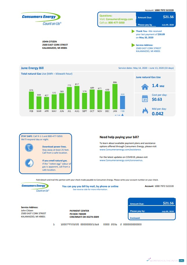 Hochwertige Herunterladen USA Michigan Consumers Energy Nebenkostenabrechnung Vorlage in Word und PDF Format PDF Vorlage