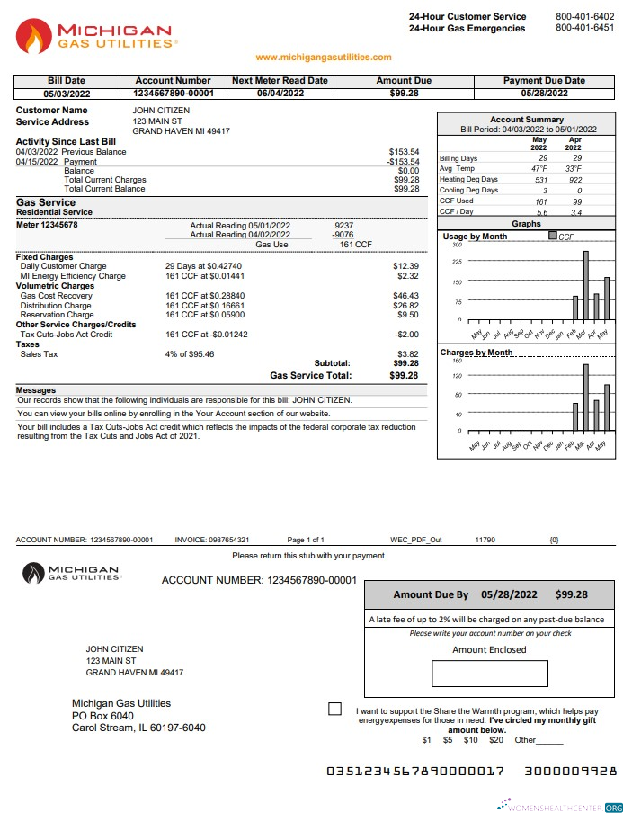 Hochwertige Herunterladen USA Michigan Gas Utilities Nebenkostenabrechnung Vorlage in Word und PDF Format Version 1 PDF Vorlage